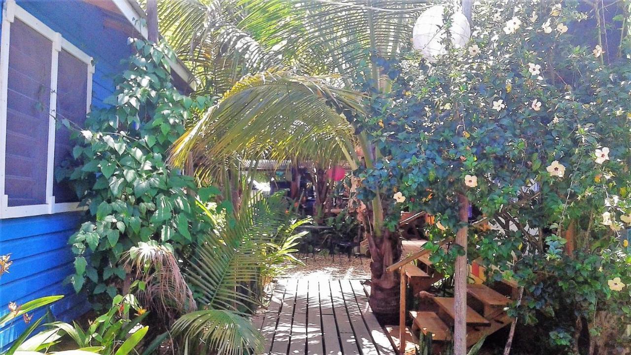 The Funky Dodo Backpackers Hostel Hopkins Exterior foto
