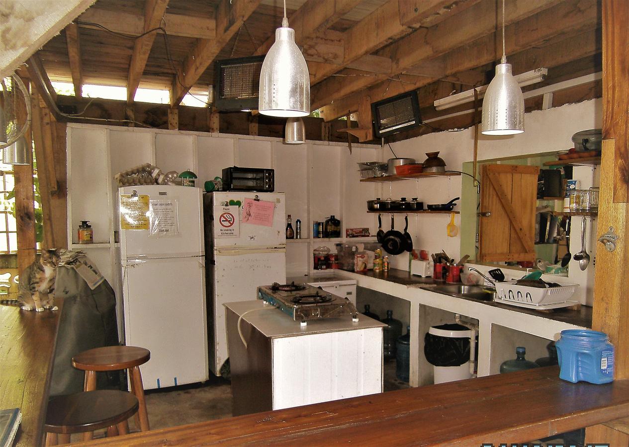 The Funky Dodo Backpackers Hostel Hopkins Exterior foto